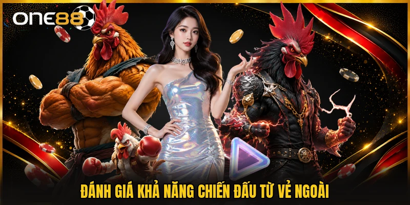 Đánh giá khả năng chiến đấu từ vẻ ngoài