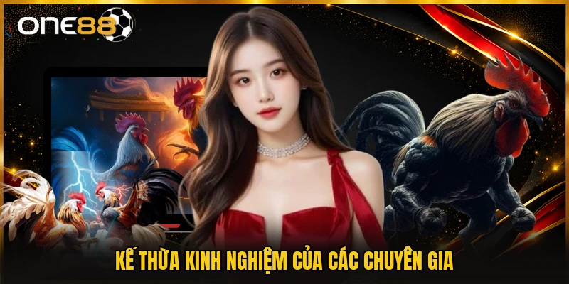 Kế thừa kinh nghiệm của các chuyên gia